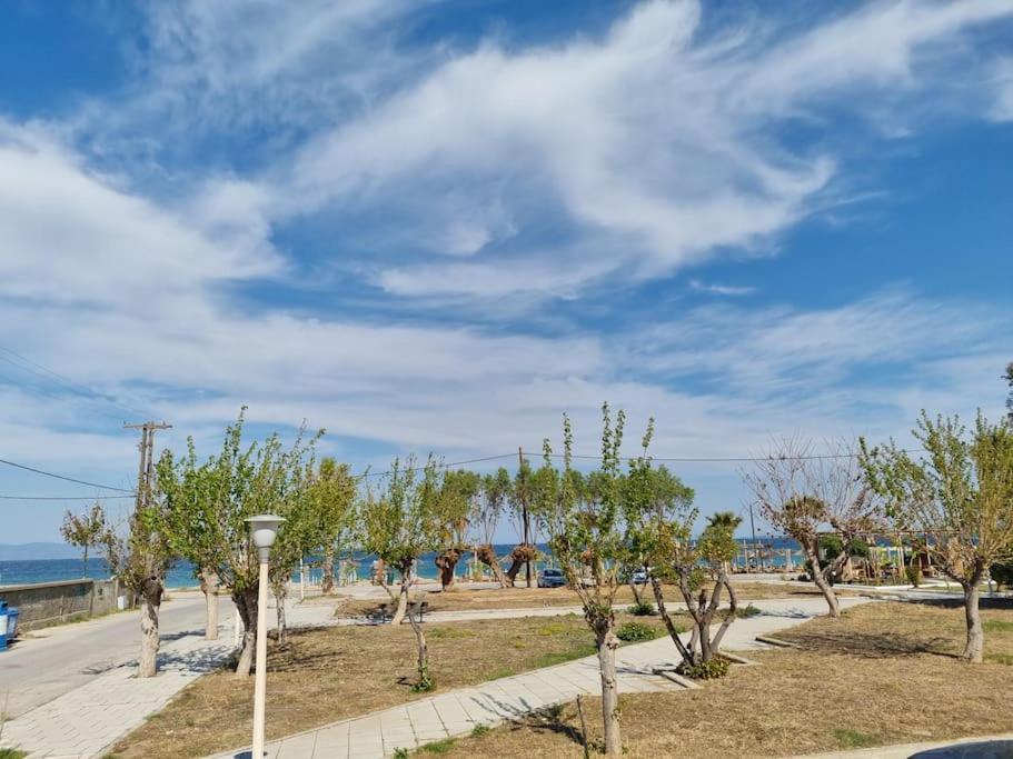 Connie'S Beach House コス・タウン エクステリア 写真